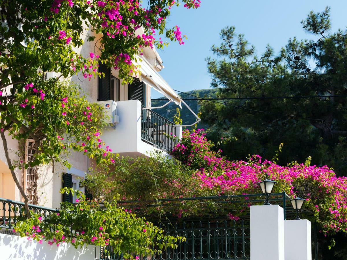 Casa Buganvilla Minia Exteriör bild
